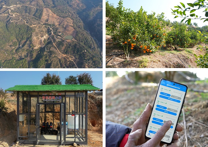 1740975876304459.jpg 101.JPG