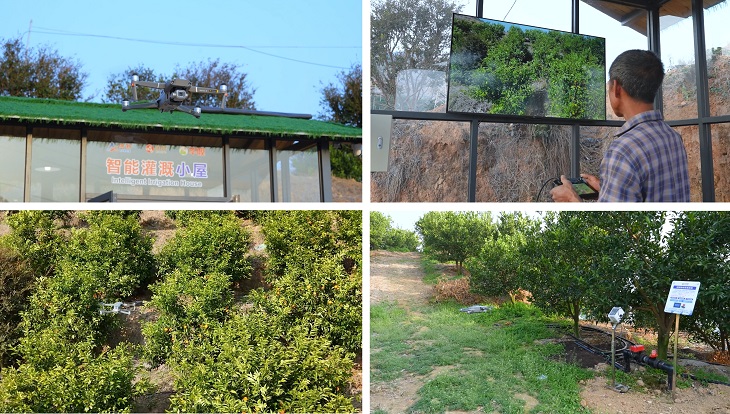 1740975912951660.png 201.png