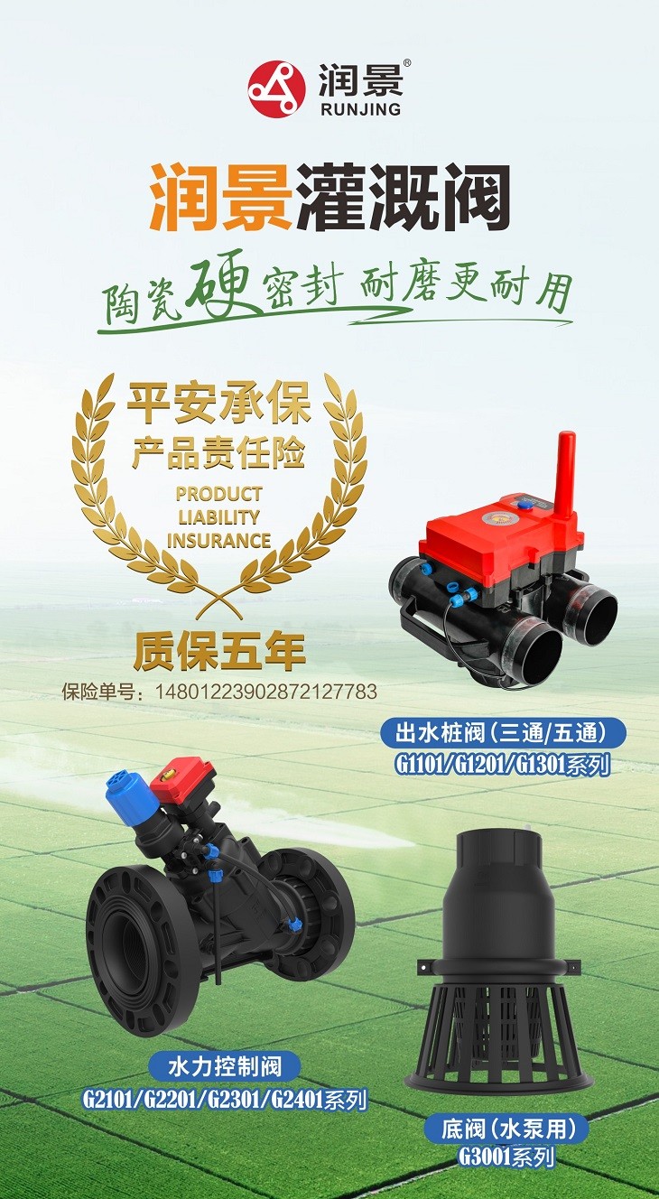 1740975998537096.jpg 501.JPG