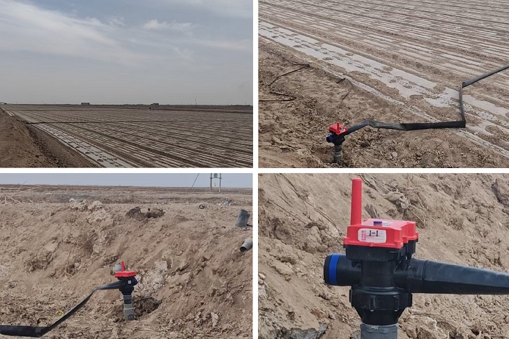 1745209436532915.jpg 201.jpg