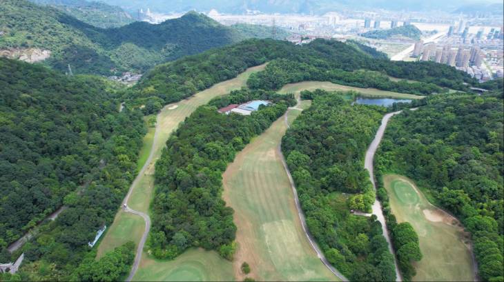 1661147023871829.jpg 102.jpg