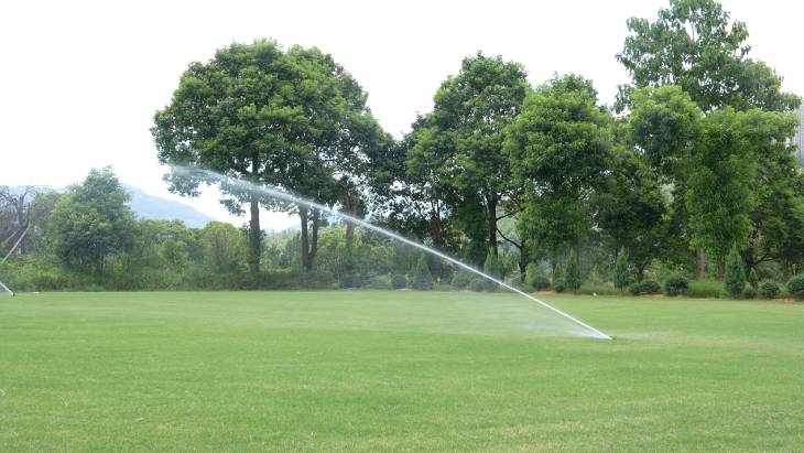 1661147031139184.jpg 201.jpg