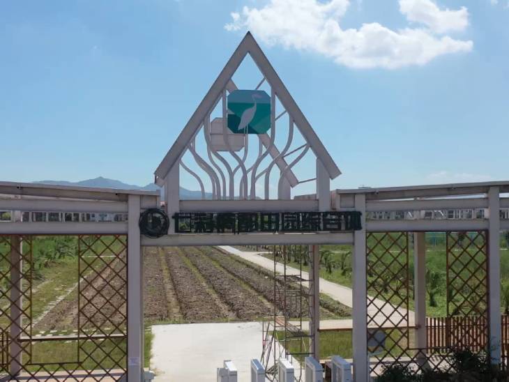 1661924550783734.jpg 101.jpg