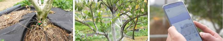 1673561056456517.jpg 401.jpg