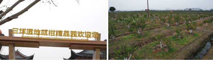 1673561080511865.jpg 201.jpg