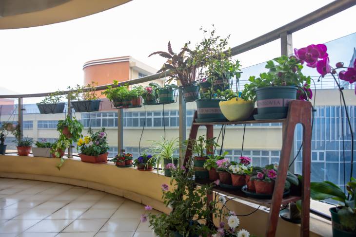 1675031529181443.jpg 101.jpg