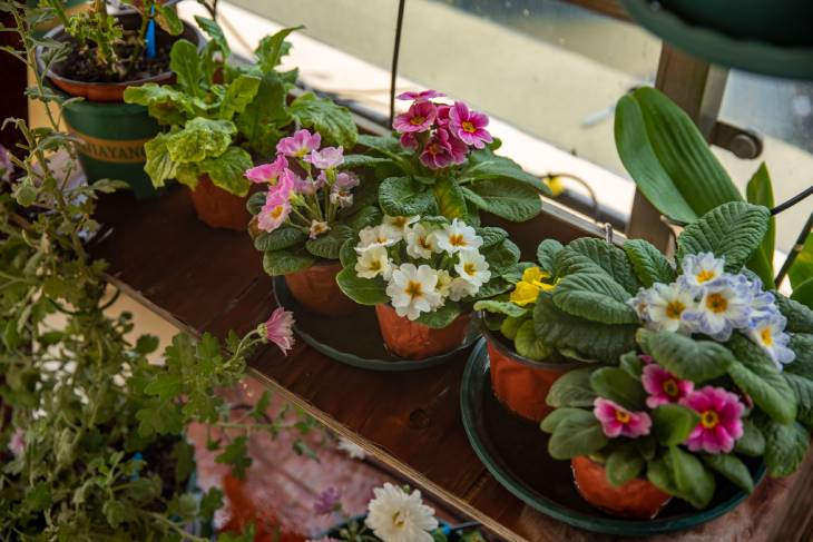 1675031549168271.jpg 302.jpg