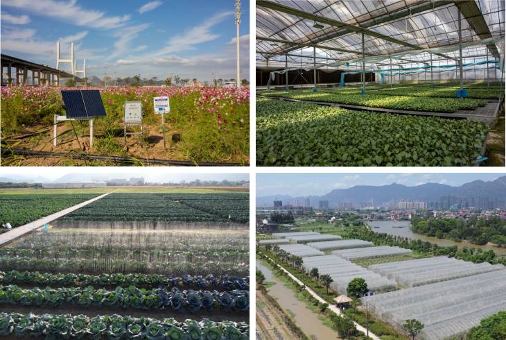 1684115951507465.jpg 401.jpg