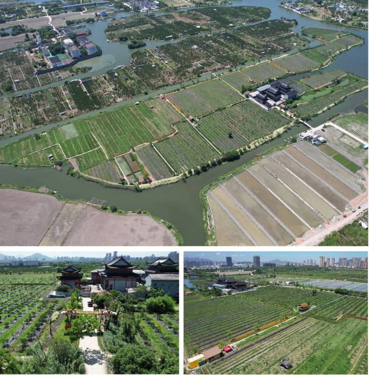 1685909438865677.jpg 101.jpg