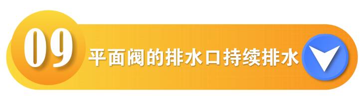 1687214864639609.jpg CorelSDK_0009.jpg