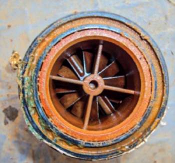 1692043543246940.jpg 201.jpg