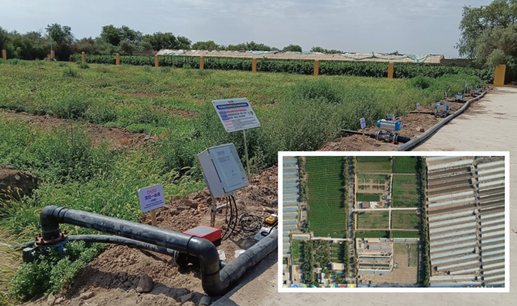 1702628556614858.jpg 401.jpg