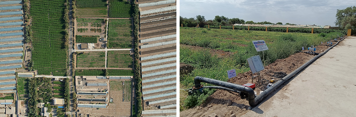 1714094423656711.png 601.png