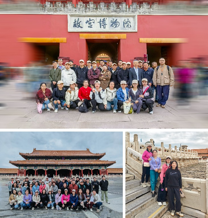 1729560364562969.jpg 501.jpg