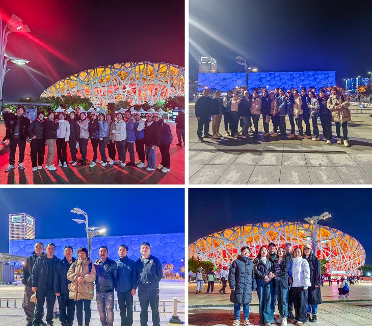 1729560620519365.jpg 801.jpg