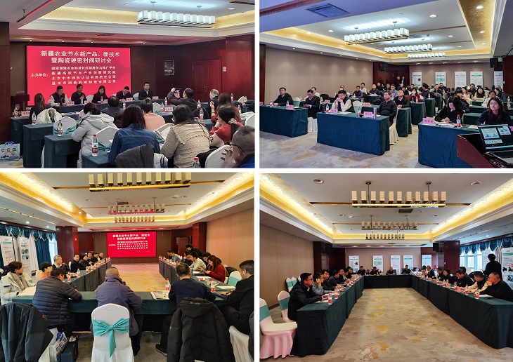 1735172923769710.jpg 101.jpg